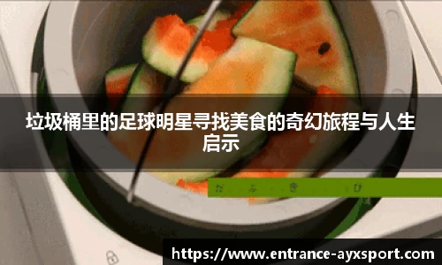 垃圾桶里的足球明星寻找美食的奇幻旅程与人生启示